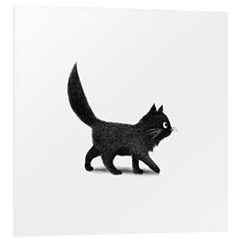 Foam board print Little black cat