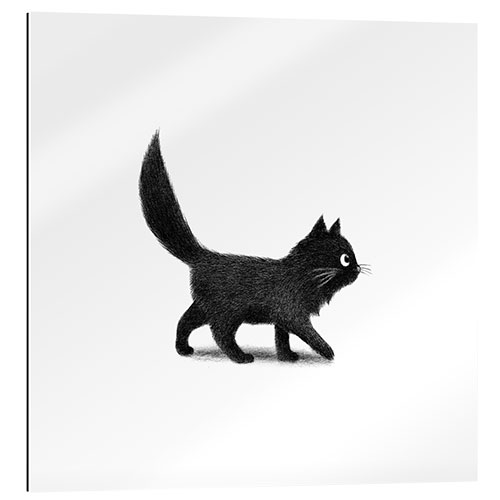 Gallery print Little black cat