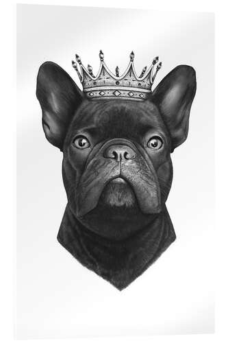 Acrylglasbild The French Bulldog king