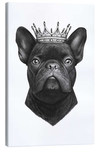 Leinwandbild The French Bulldog king