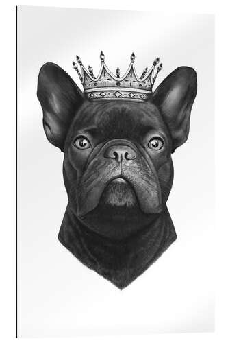 Gallery print King French bulldog