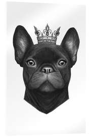 Akrylglastavla Queen French Bulldog