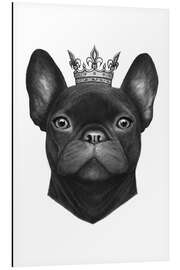 Aluminium print Queen French Bulldog