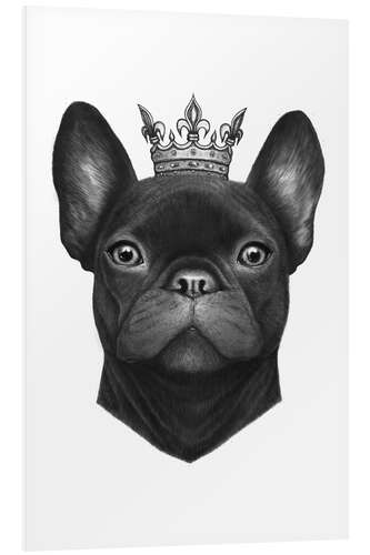 Quadro em PVC Buldogue francês da rainha