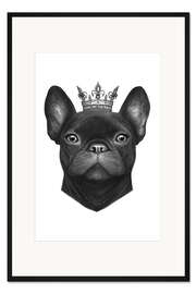 Gerahmter Kunstdruck Queen French Bulldog
