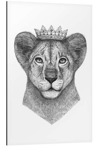 Aluminium print The lion prince