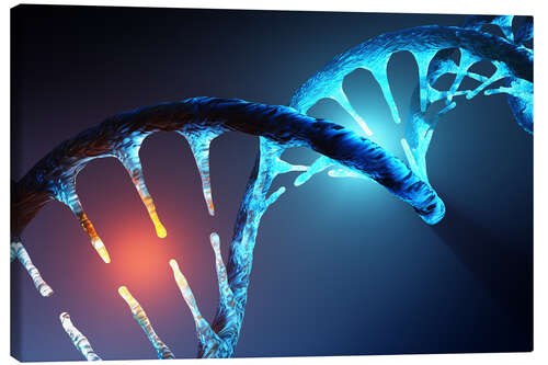 Lienzo DNA helix structure