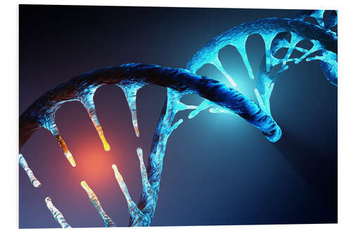 Quadro em PVC DNA helix structure