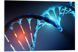 Gallery print DNA helix structure