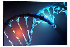 Magnettafel DNA-Helixstruktur