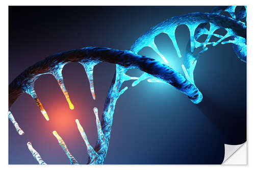 Selvklæbende plakat DNA helix structure