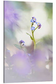 Magnettafel Vergiss mich nicht