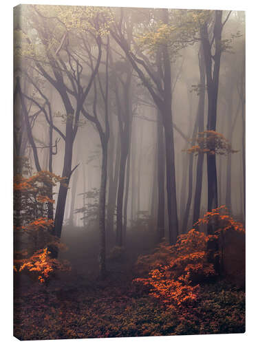 Canvas print Mysterious forest