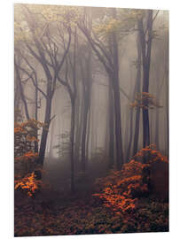 PVC print Mysterious forest