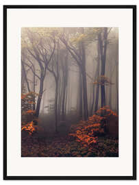 Gerahmter Kunstdruck Geheimnisvoller Wald