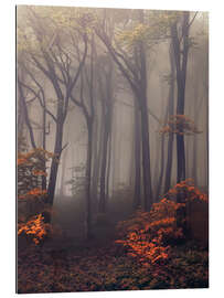 Gallery print Mysterious forest