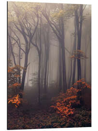 Magnettafel Geheimnisvoller Wald