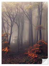 Selvklebende plakat Mysterious forest