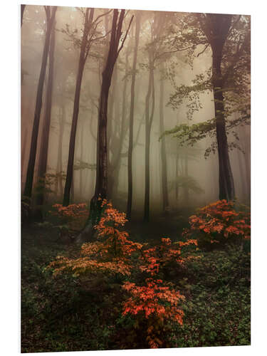 Foam board print Golden leaves of autumn