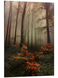 Magnettafel Goldene Blätter des Herbstes
