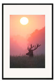 Gerahmter Kunstdruck Rothirsch bei Sonnenuntergang