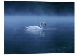 Magnettafel Gelassenheit