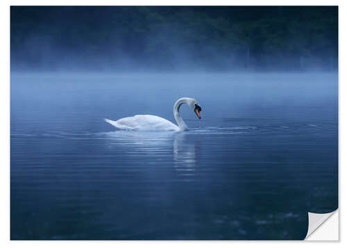 Naklejka na ścianę Serenity