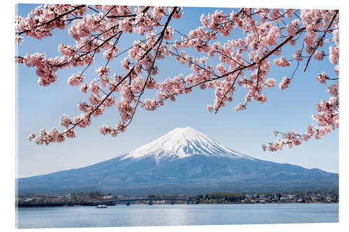 Acrylglas print Mountain Fuji and cherry blossom at lake Kawaguchiko, Japan