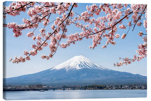 Lærredsbillede Mountain Fuji and cherry blossom at lake Kawaguchiko, Japan