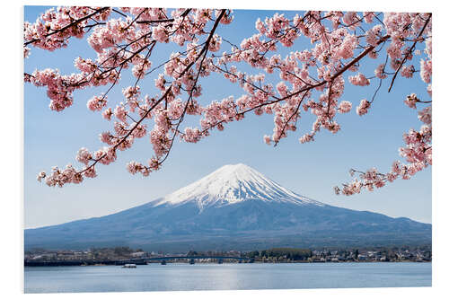 Tableau en PVC Cerisier en fleurs et Mont Fuji au lac Kawaguchiko, Japon