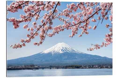 Gallery Print Berg Fuji und Kirschblüte am See Kawaguchiko, Japan