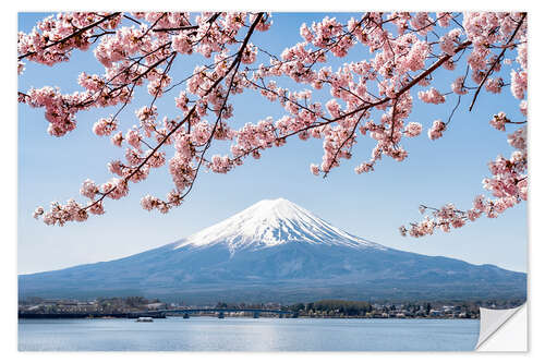 Selvklebende plakat Mountain Fuji and cherry blossom at lake Kawaguchiko, Japan