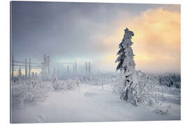 Gallery print Dreisessel mountain winter