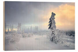 Quadro de madeira Dreisessel mountain winter