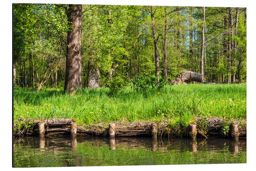 Aluminium print Landscape in the Spreewald area, Germany