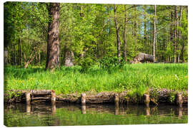 Canvastavla Landscape in the Spreewald area, Germany