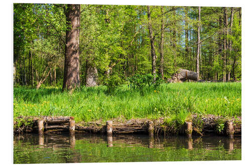 Foam board print Landscape in the Spreewald area, Germany