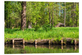 Foam board print Landscape in the Spreewald area, Germany