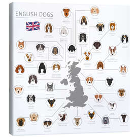 Tableau sur toile Races de chiens anglais