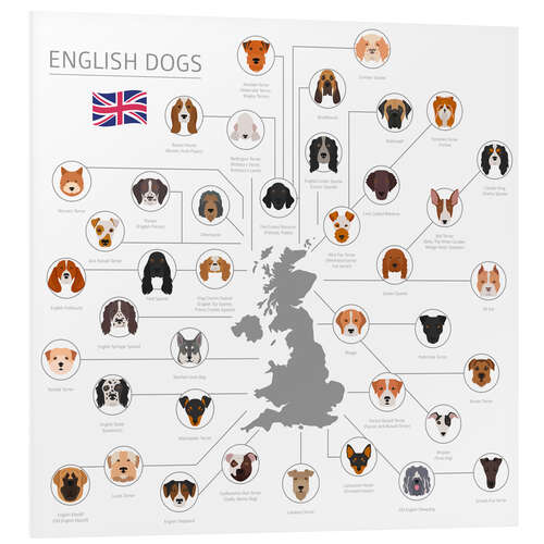 Tableau en PVC Races de chiens anglais