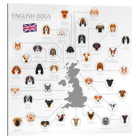 Gallery print English dog breeds