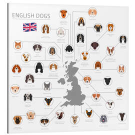 Magnettafel Englische Hunderassen