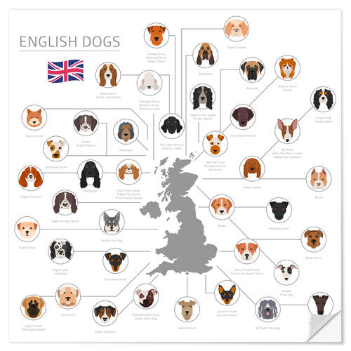 Selvklebende plakat English dog breeds