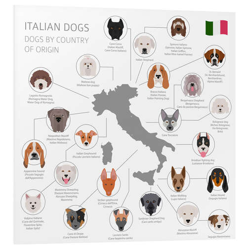 Tableau en PVC Races de chiens italiens (anglais)