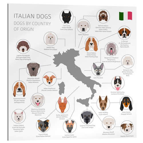 Gallery print Italian dog breeds