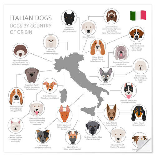 Sticker mural Races de chiens italiens (anglais)