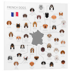 Foam board print French dog breeds