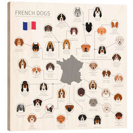 Tableau en bois Races de chiens français (anglais)