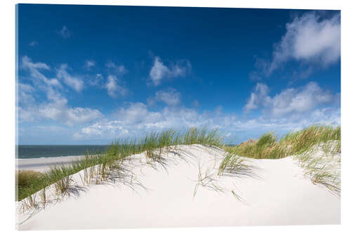 Acrylic print Dunes in the summer wind