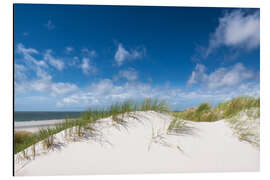 Aluminium print Dunes in the summer wind